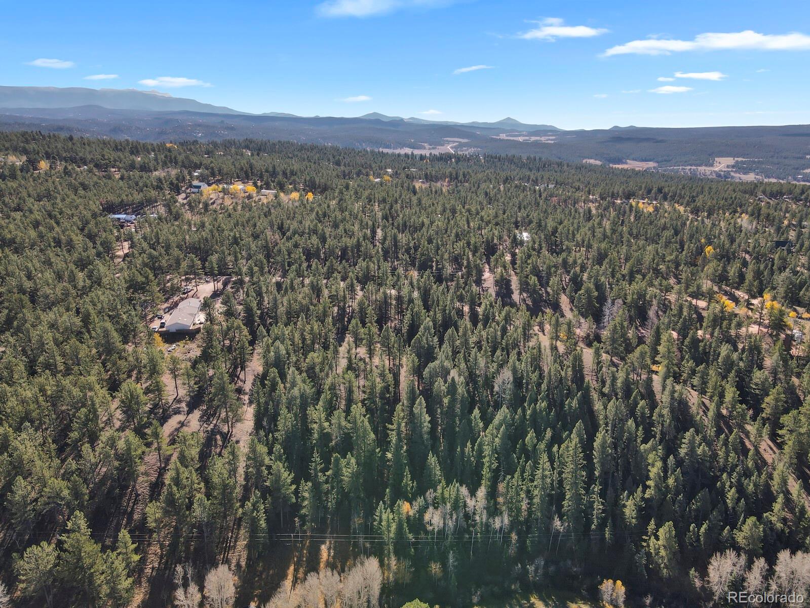 504 Bear Mountain Road