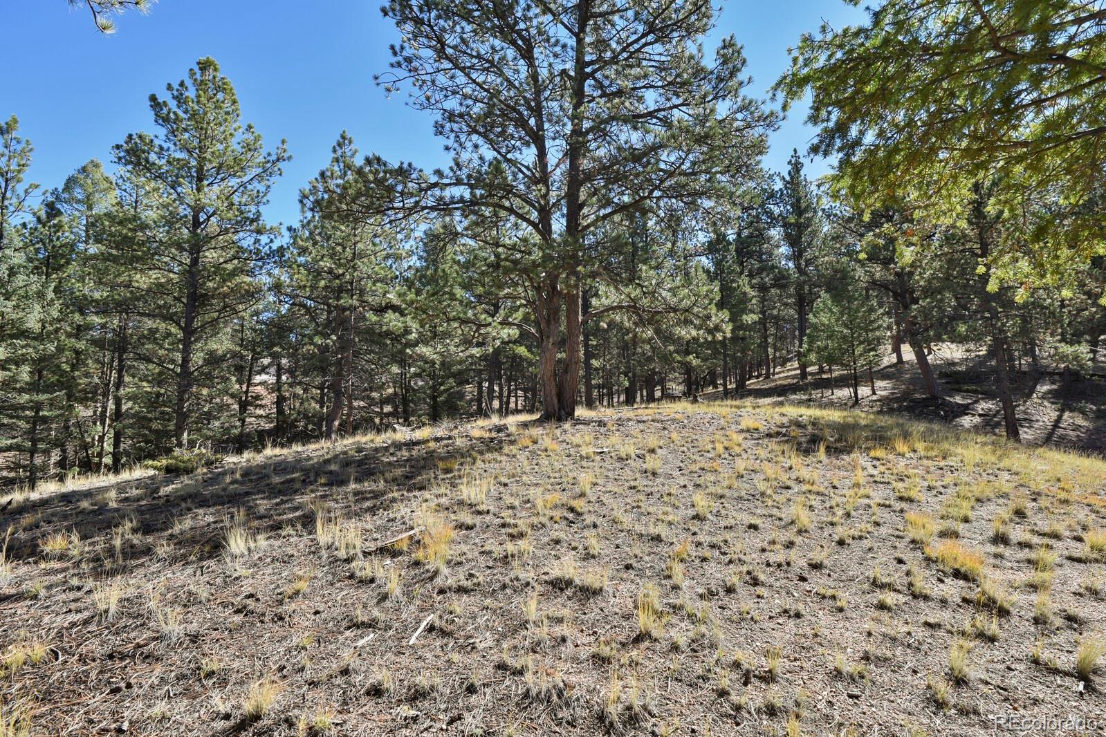 504 Bear Mountain Road