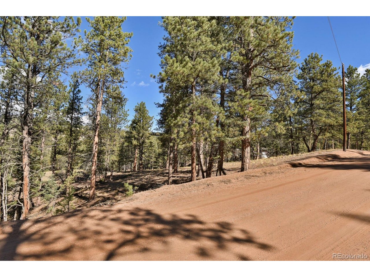 504 Bear Mountain Rd