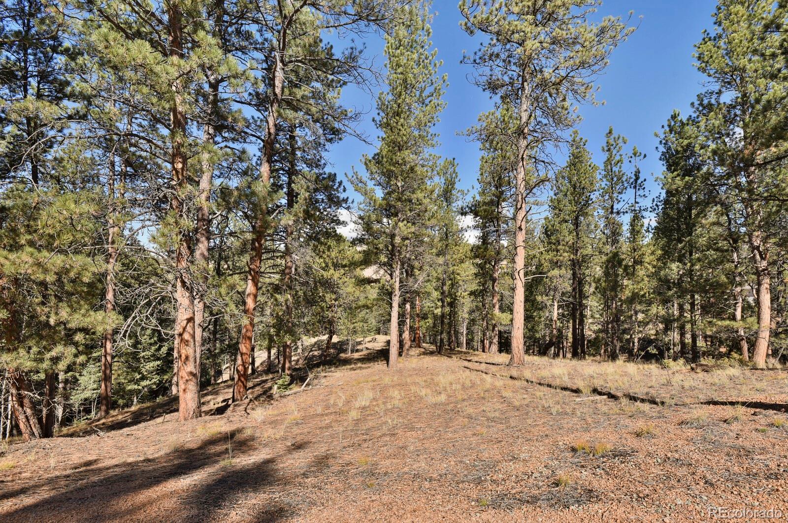 504 Bear Mountain Road