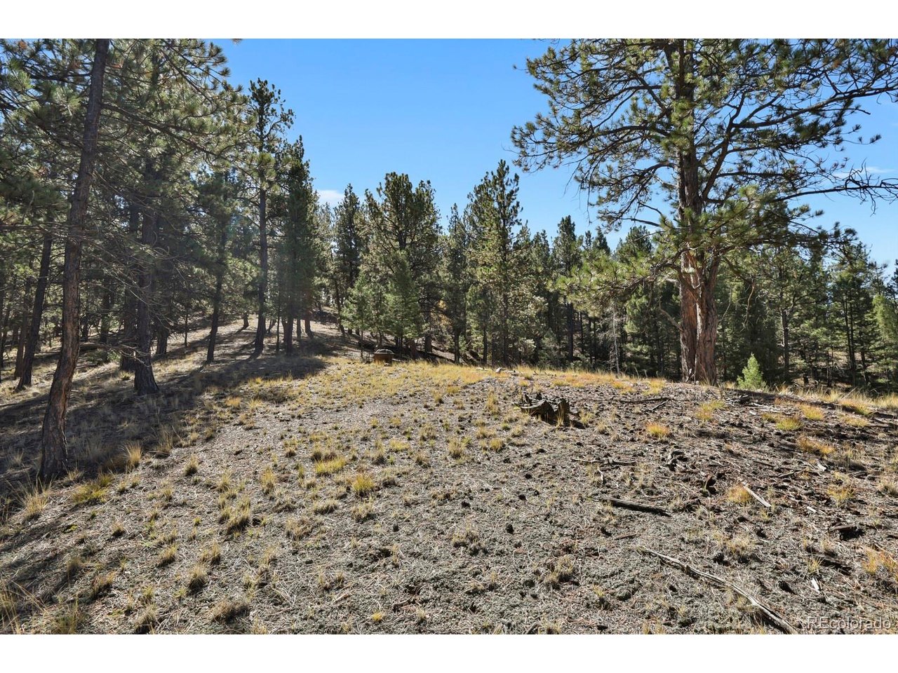 504 Bear Mountain Rd