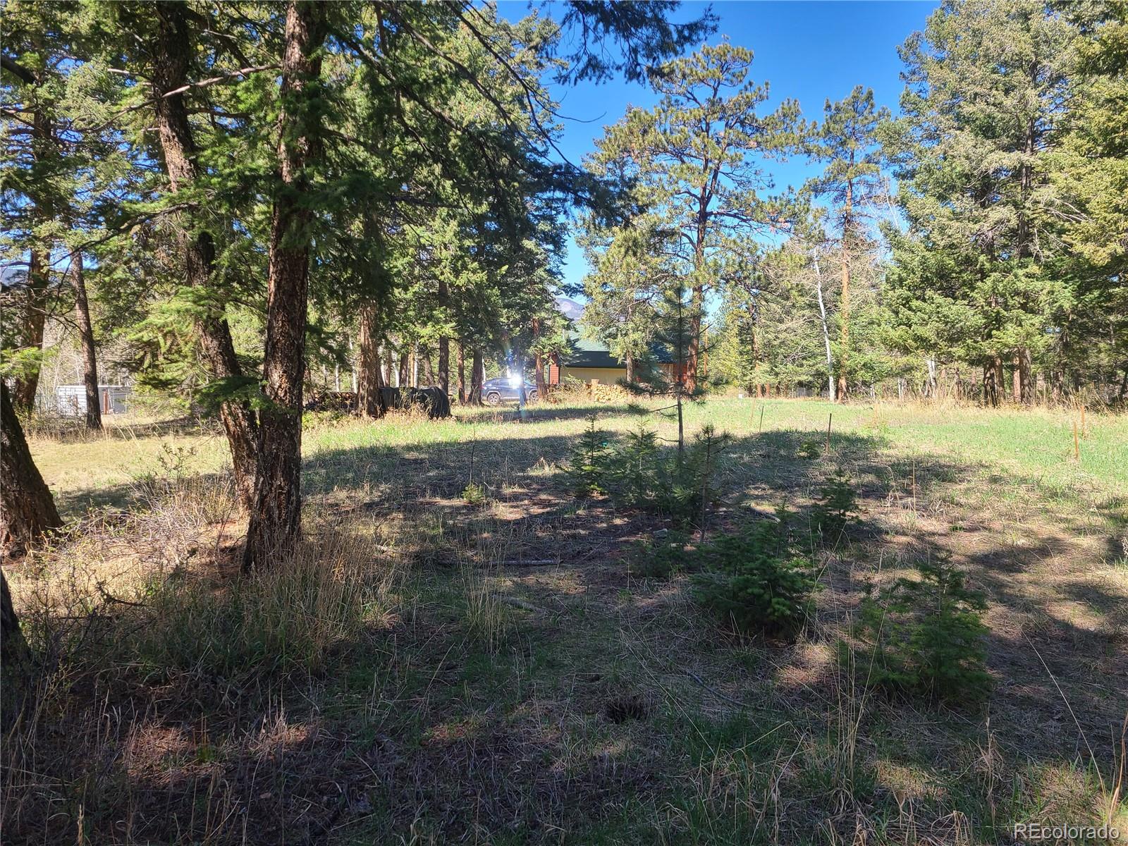 26367 Pressler Street