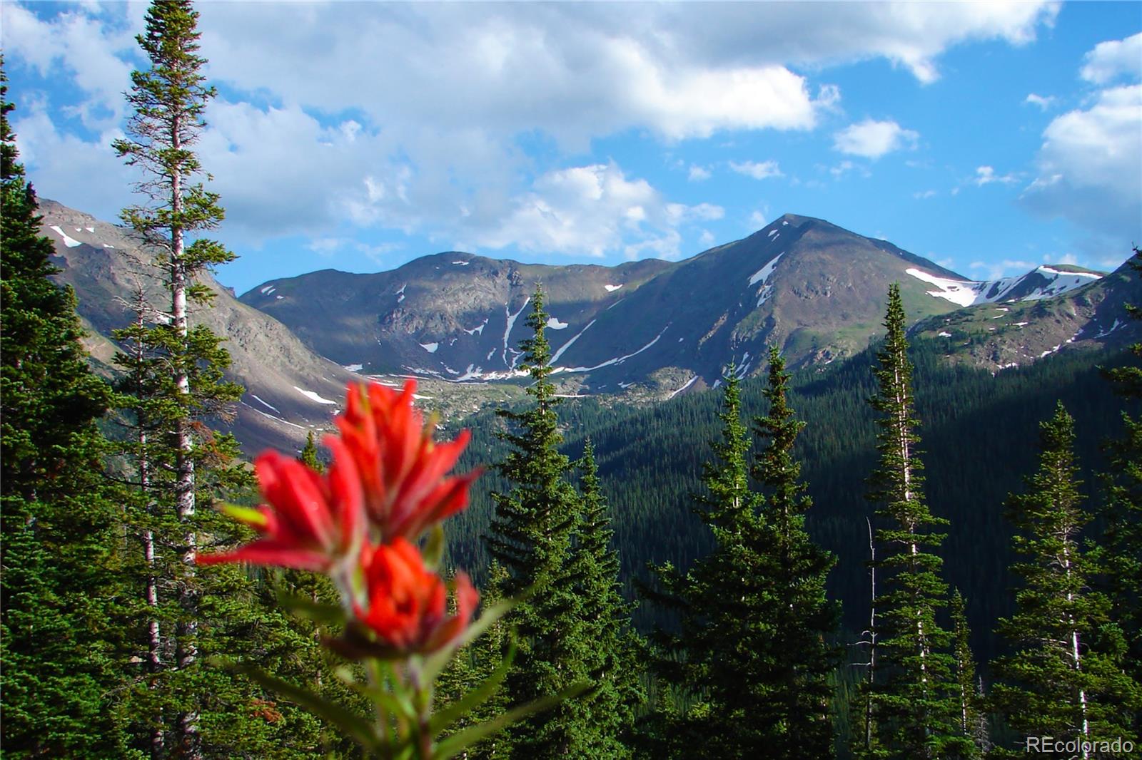 421 W Meadow Mile Unit: 4