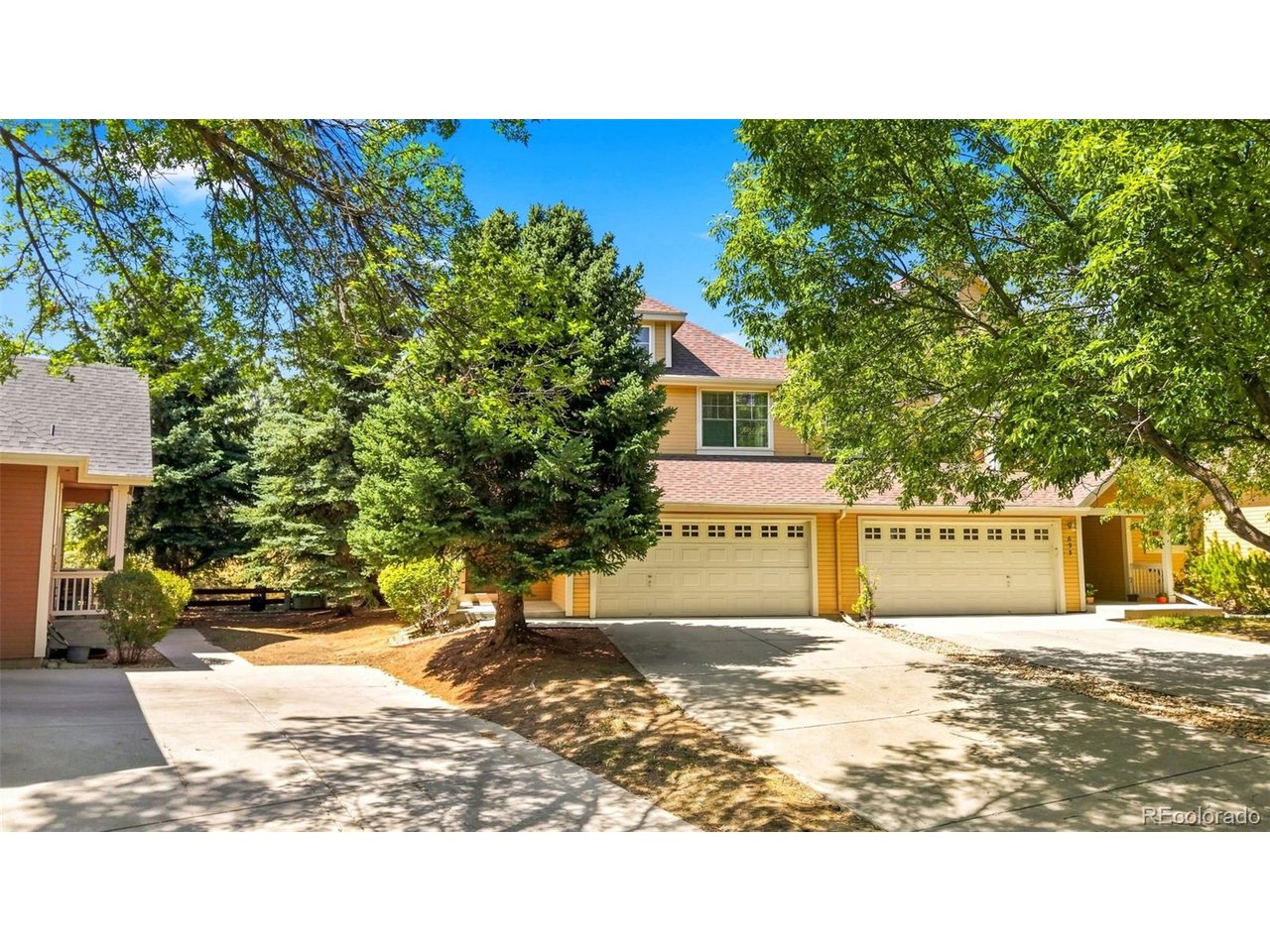 689 Wild Ridge Ln