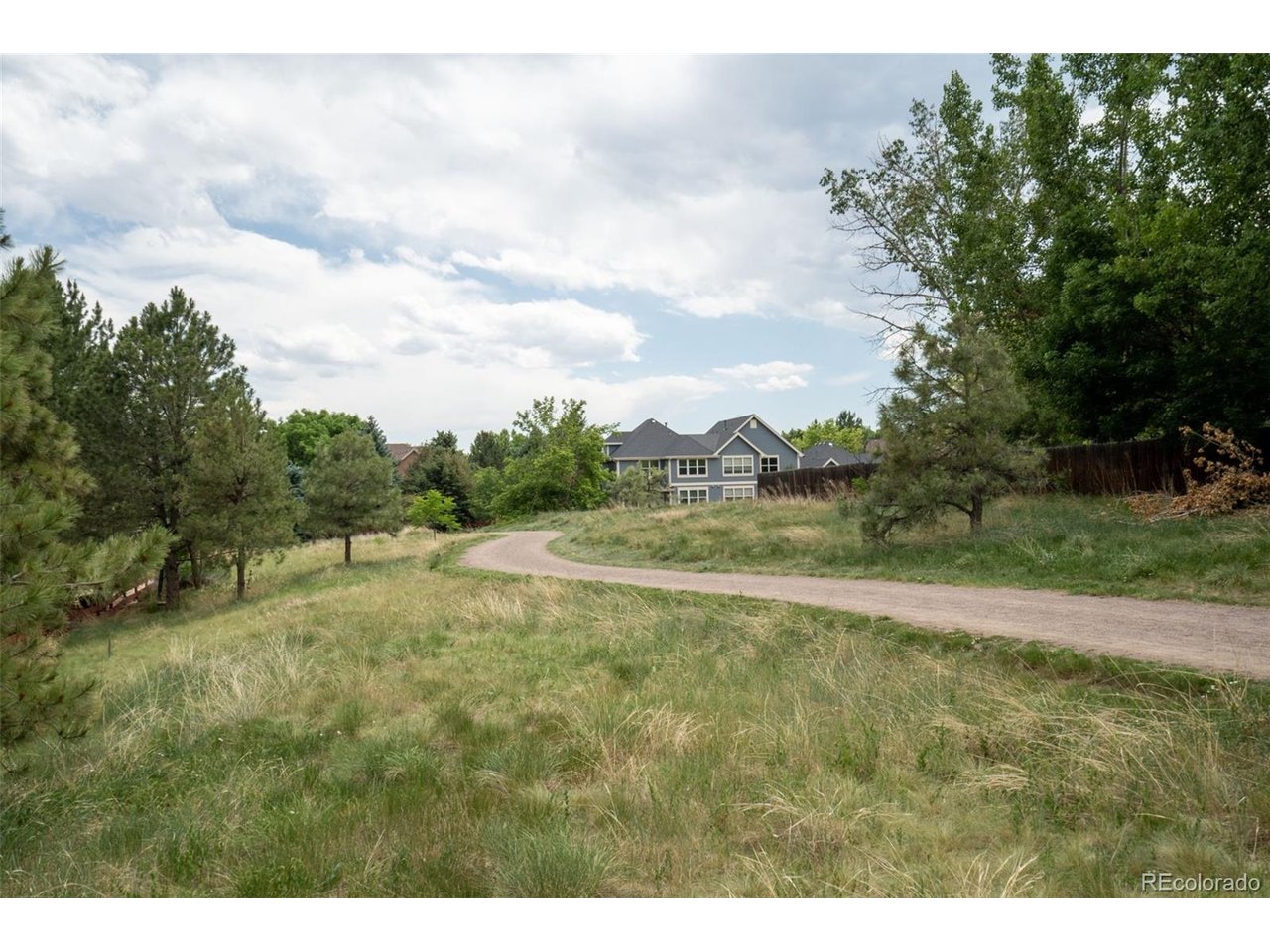 689 Wild Ridge Ln