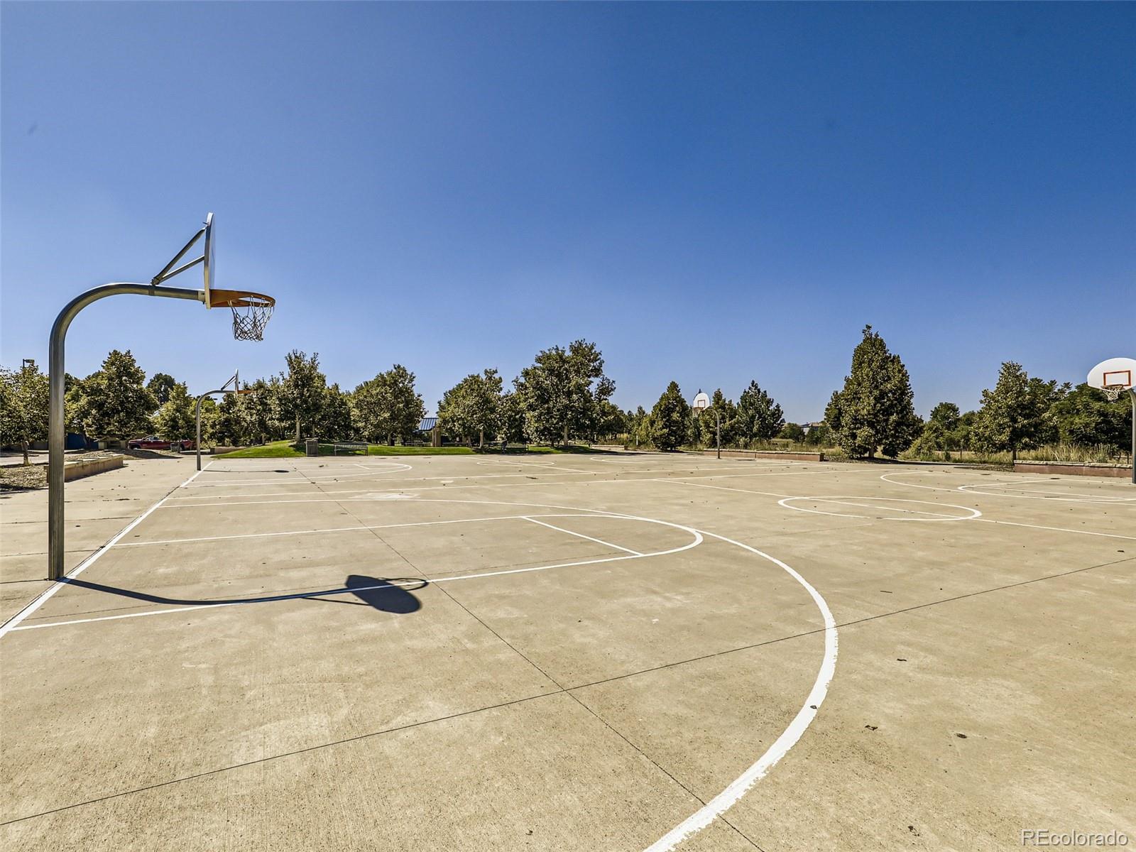 20725 Mitchell Place