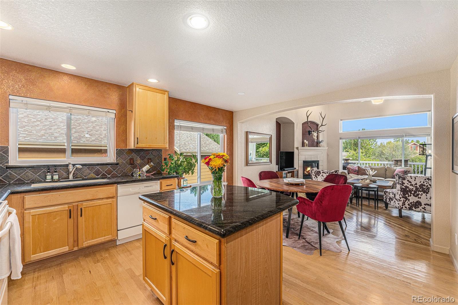 9766 S Johnson Court