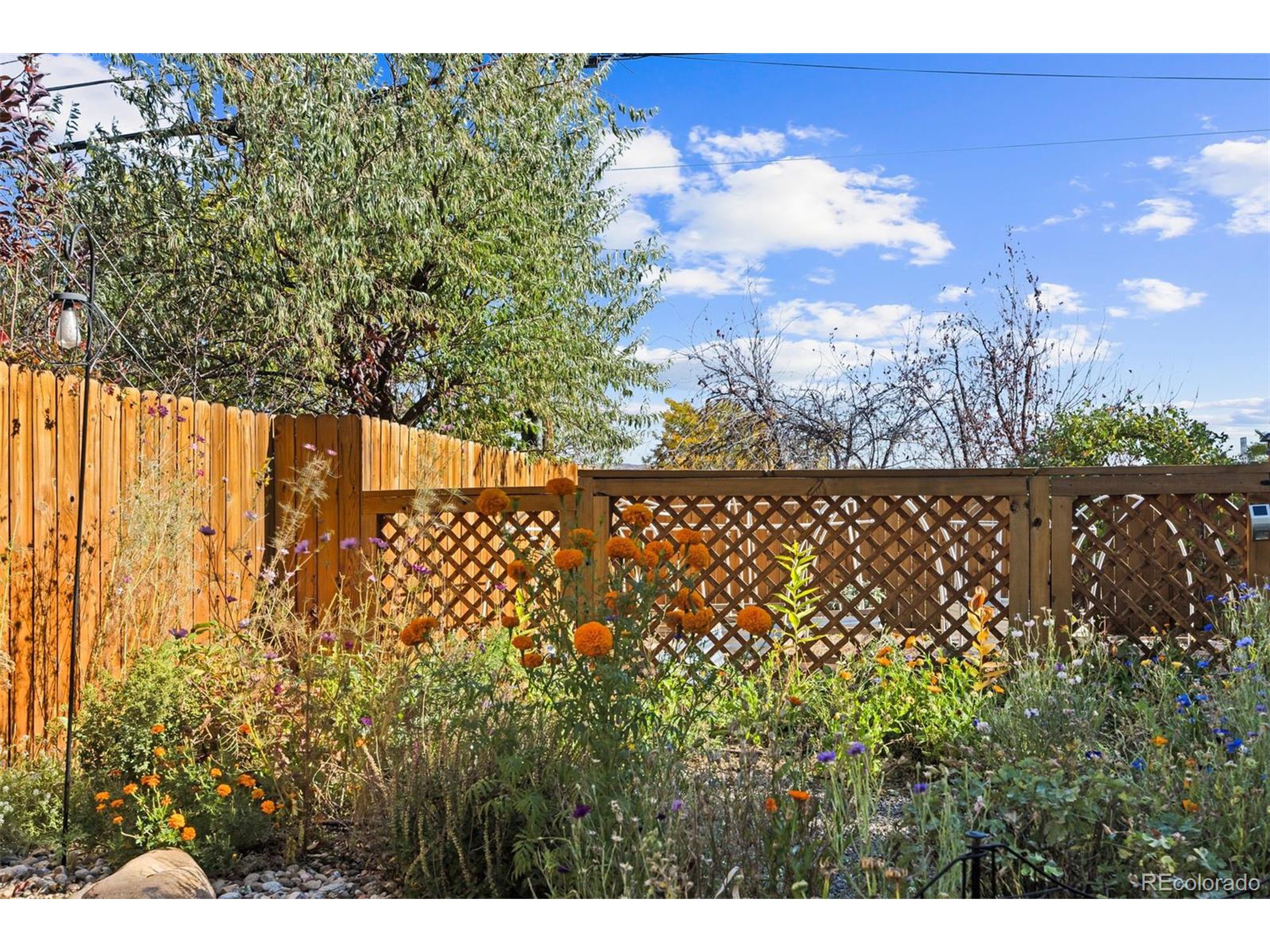 6022 W Alder Ave Littleton