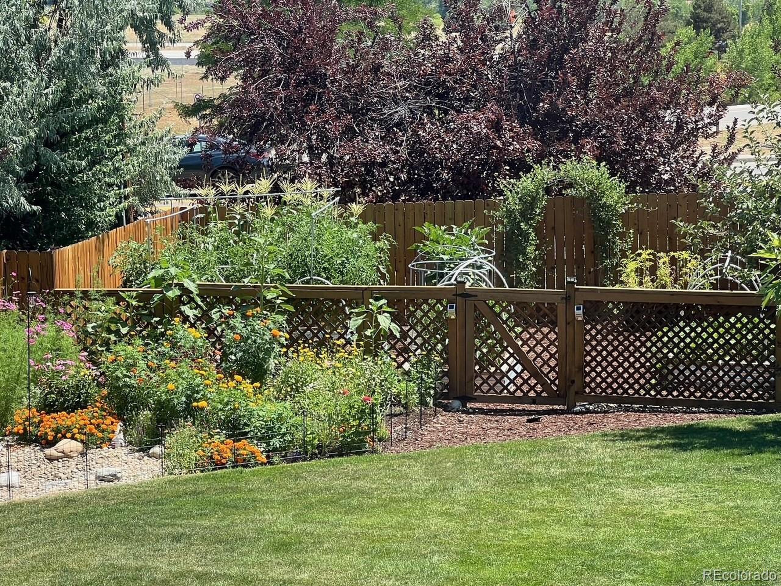 6022 W Alder Ave Littleton