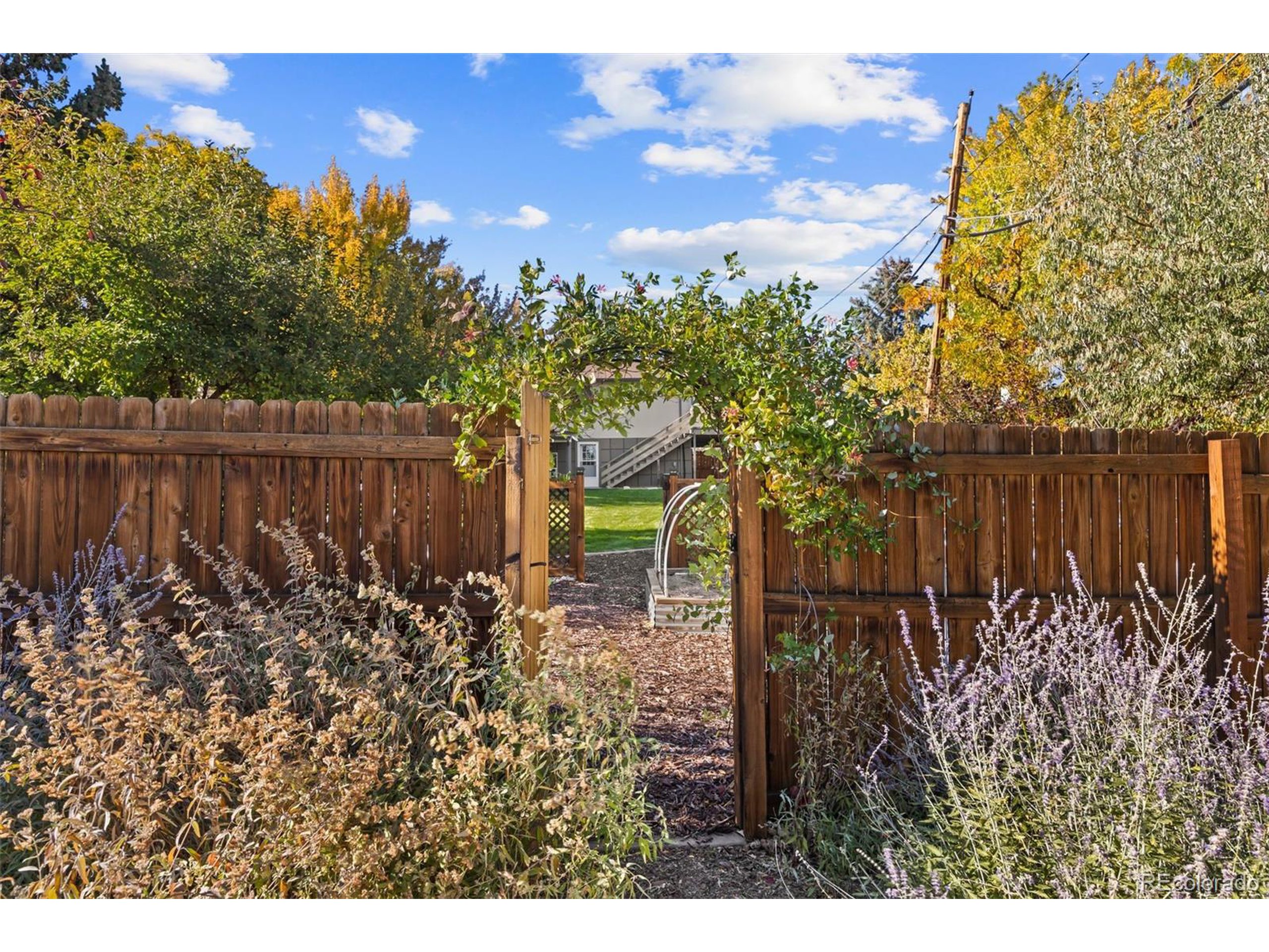 6022 W Alder Ave Littleton