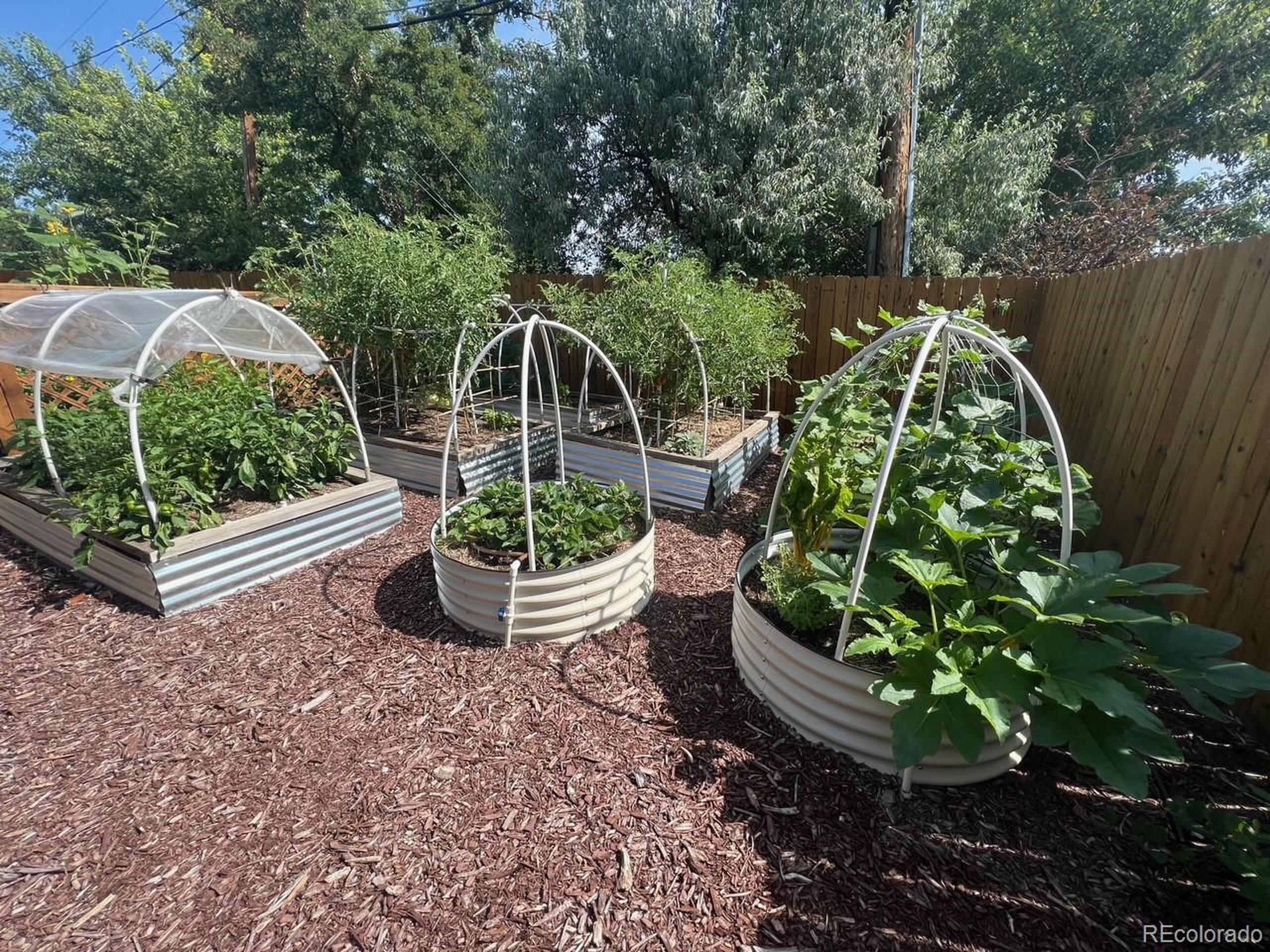 6022 W Alder Ave Littleton