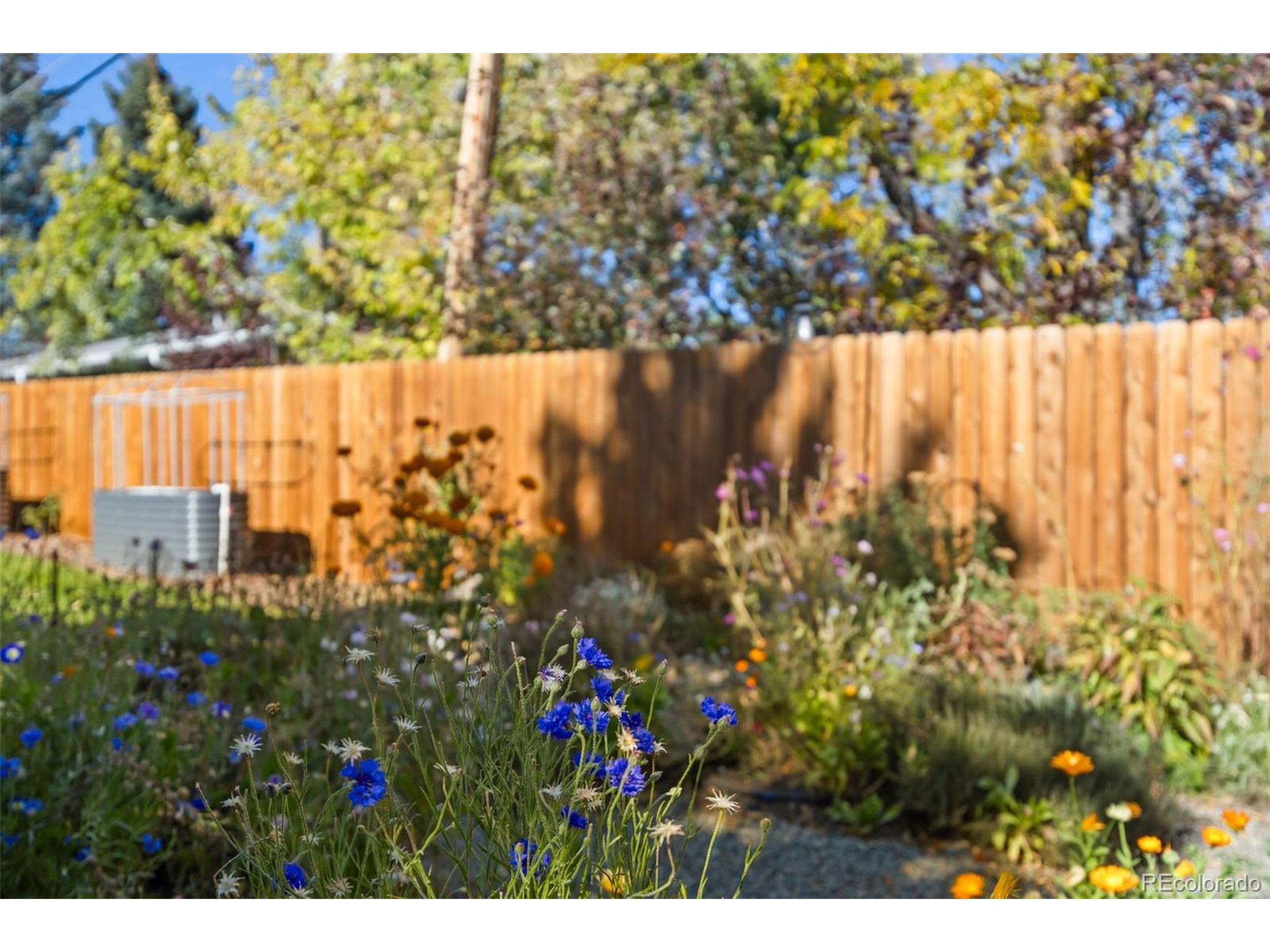 6022 W Alder Ave Littleton