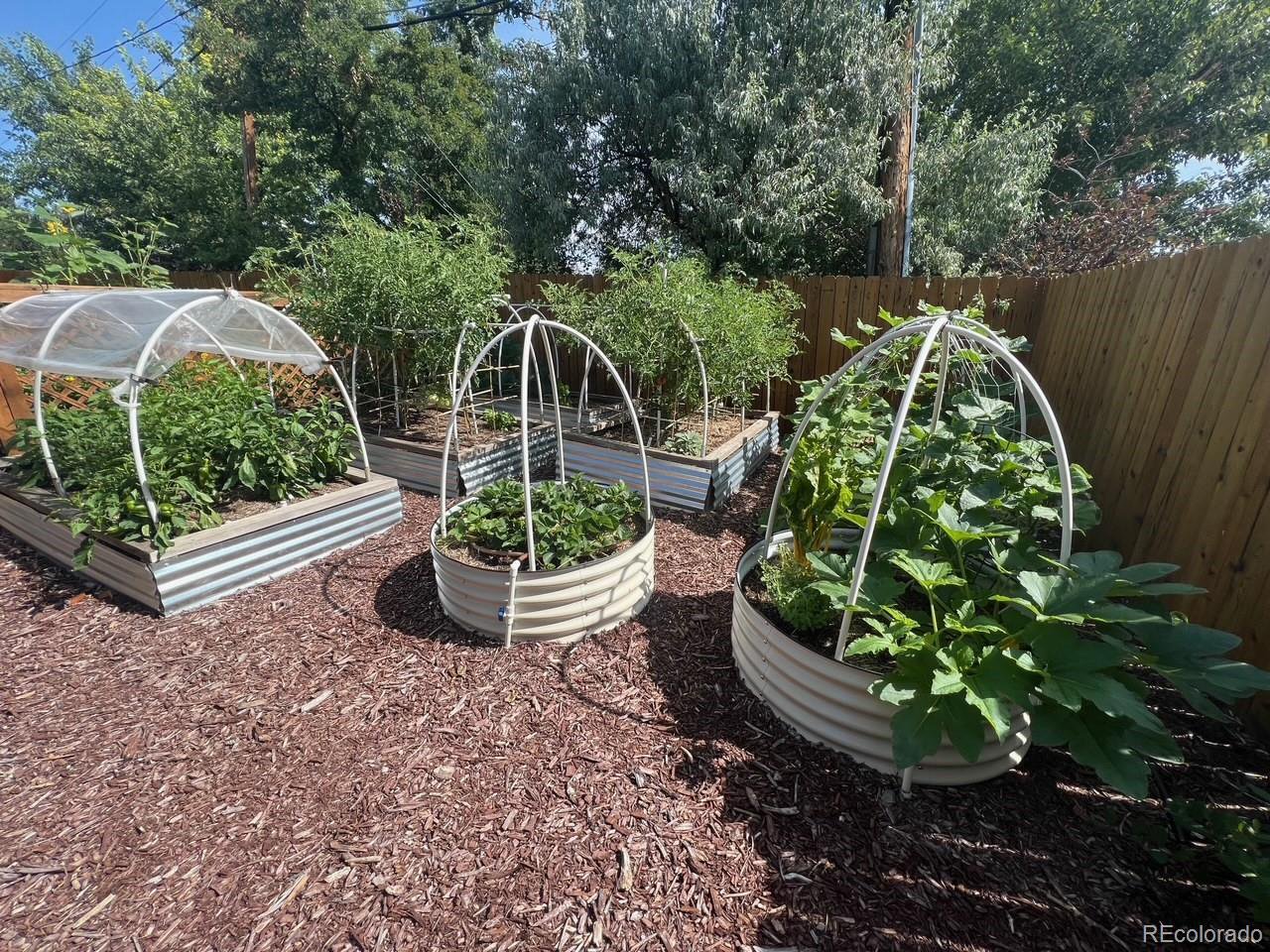 6022 W Alder Ave Littleton