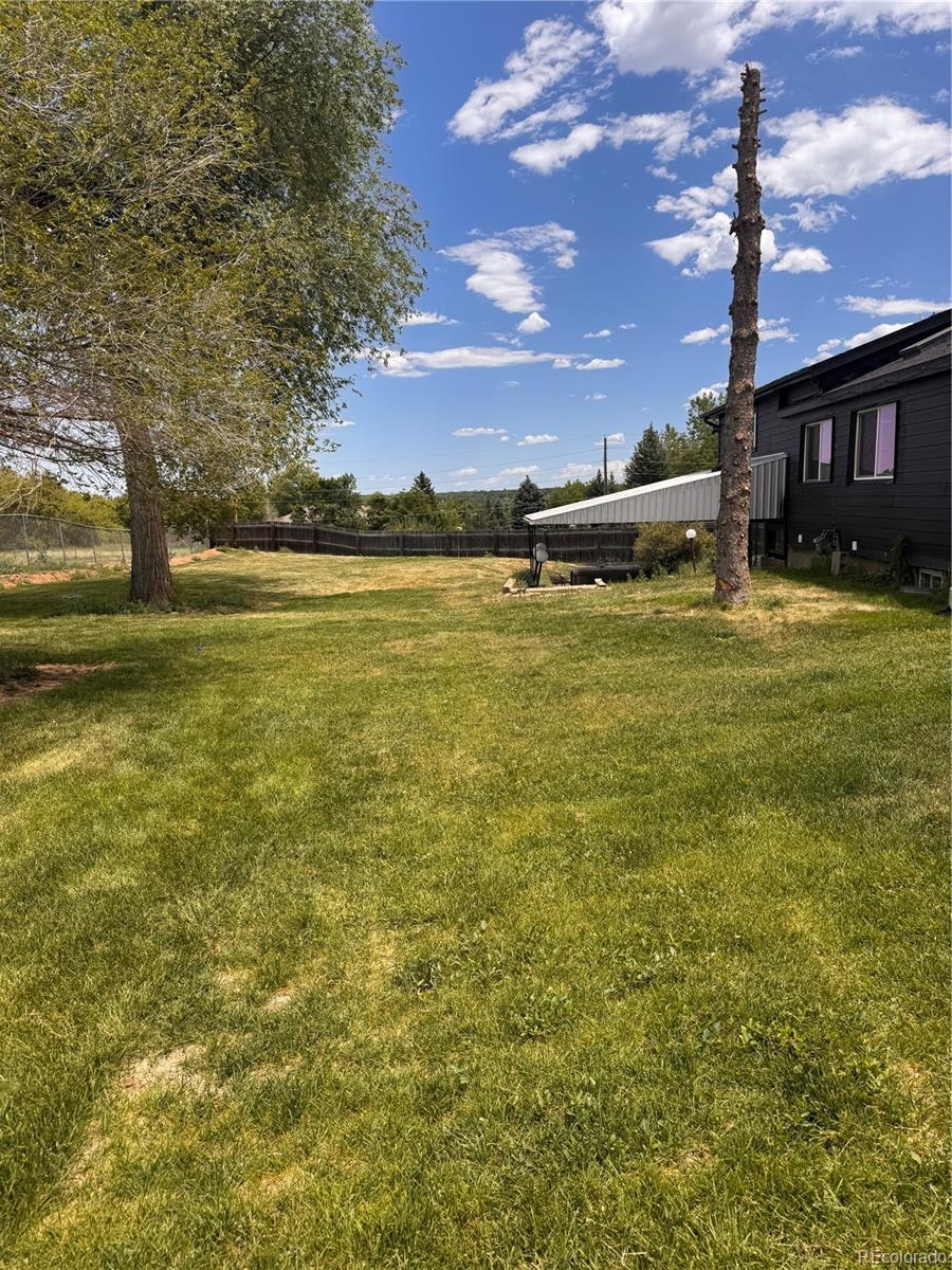 7037 S Platte Canyon Road