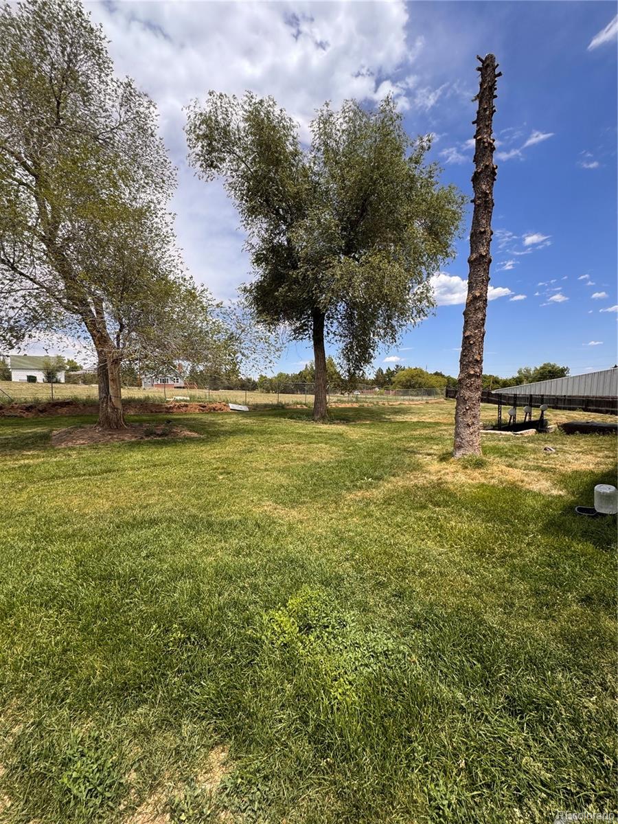 7037 S Platte Canyon Road