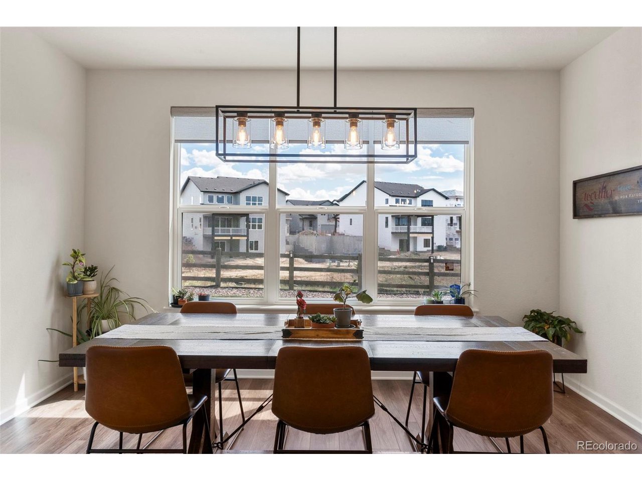 76 Simmental Loop
