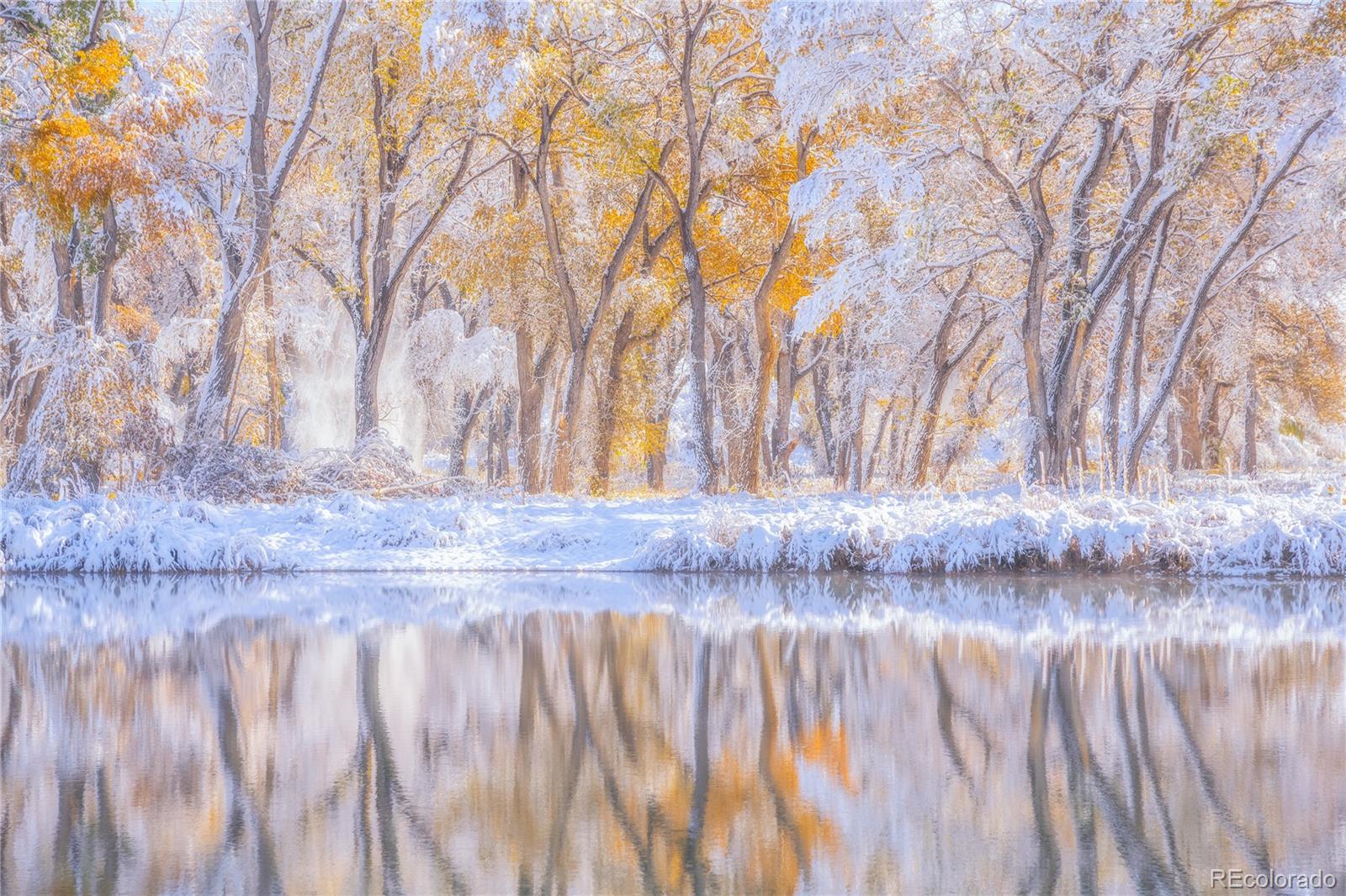 7205 W Clifton Avenue