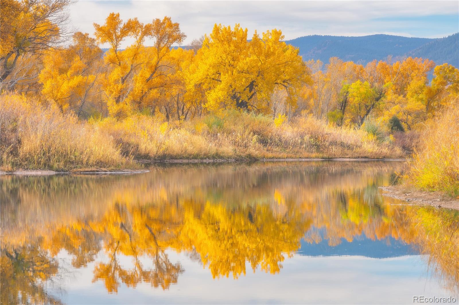 7205 W Clifton Avenue