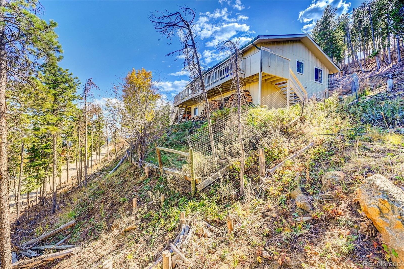 1317 Ponderosa Drive
