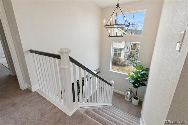 3361 Yukon Court