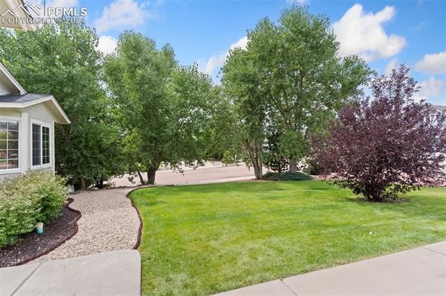 7834 Hidden Pine Drive