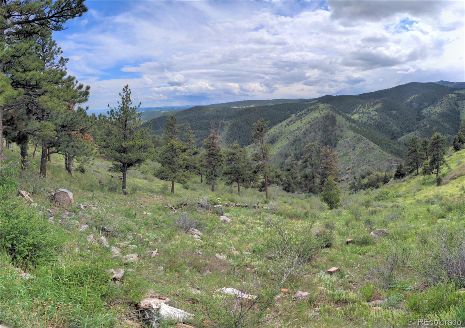 25421 Westridge Road