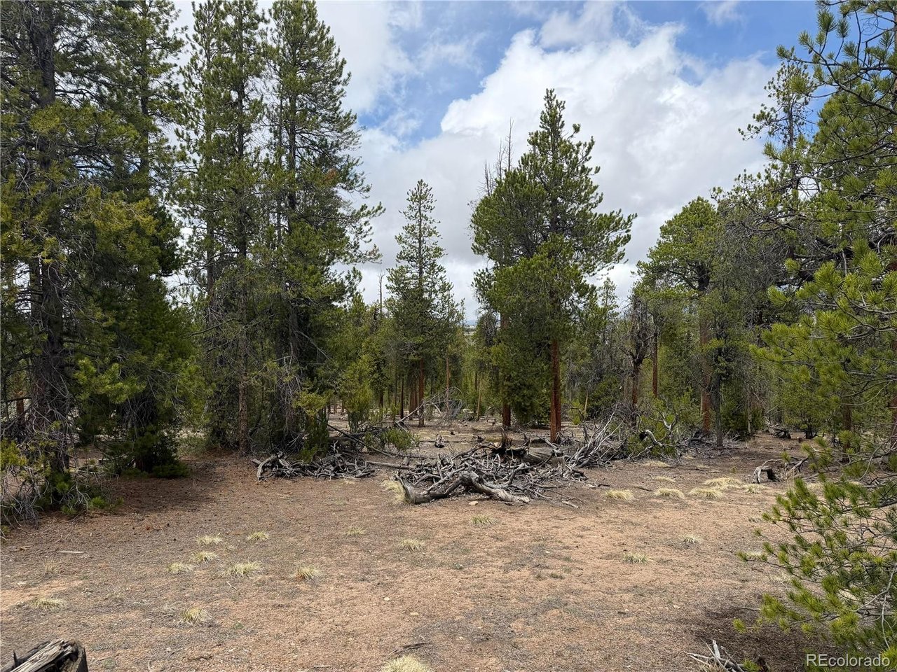 341 Lodgepole Dr