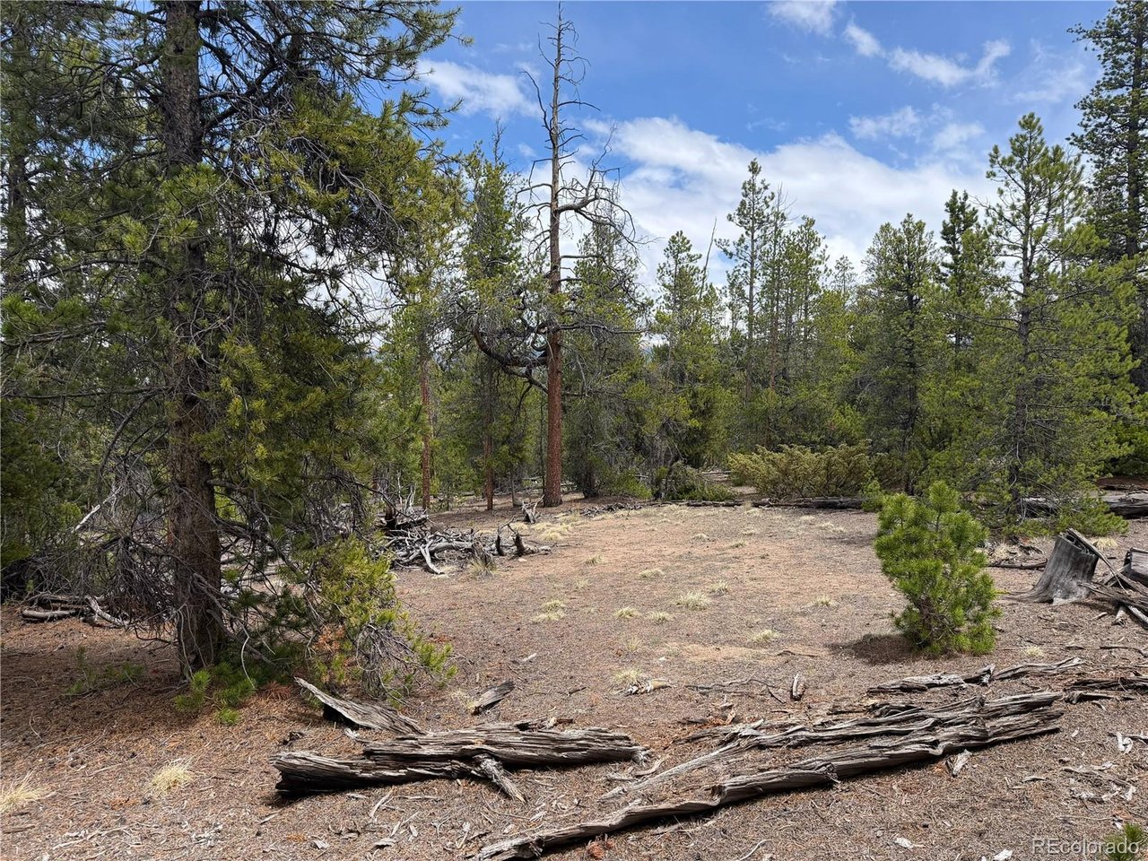 341 Lodgepole Dr