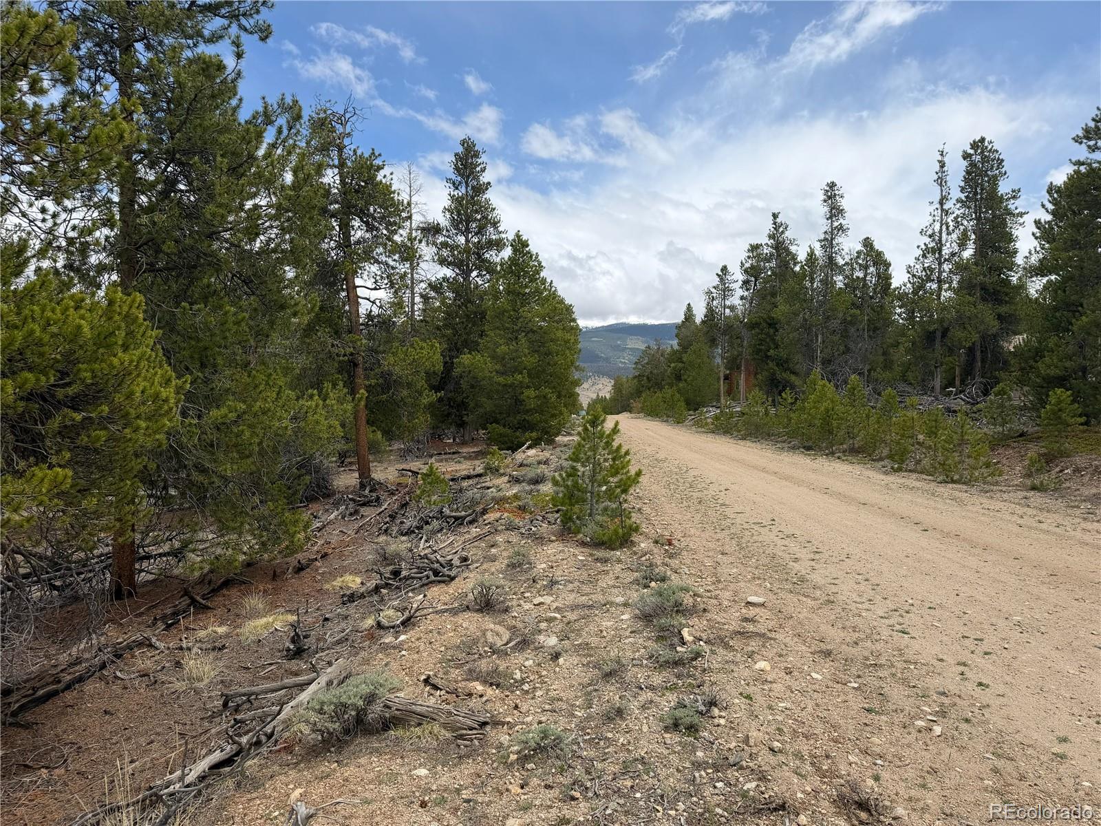 341 Lodgepole Drive