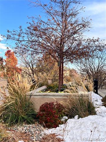 1057 W Century Drive Unit: 220