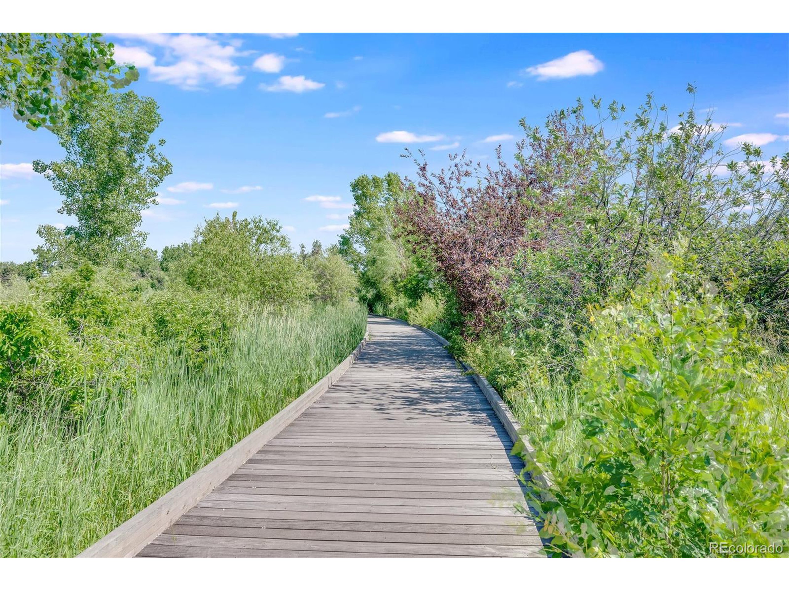 3141 S Tamarac Dr F301