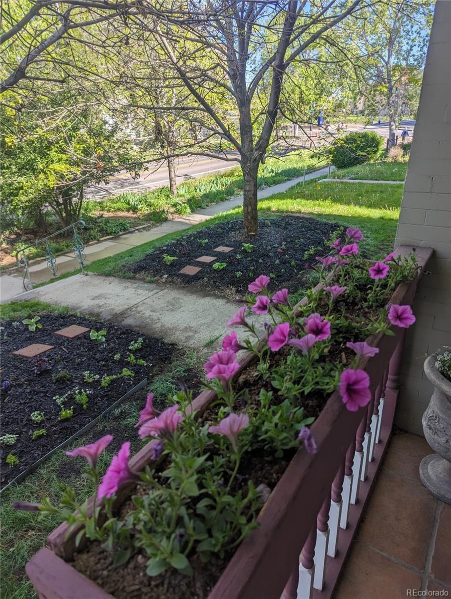 1746 N Franklin Street Unit: 1