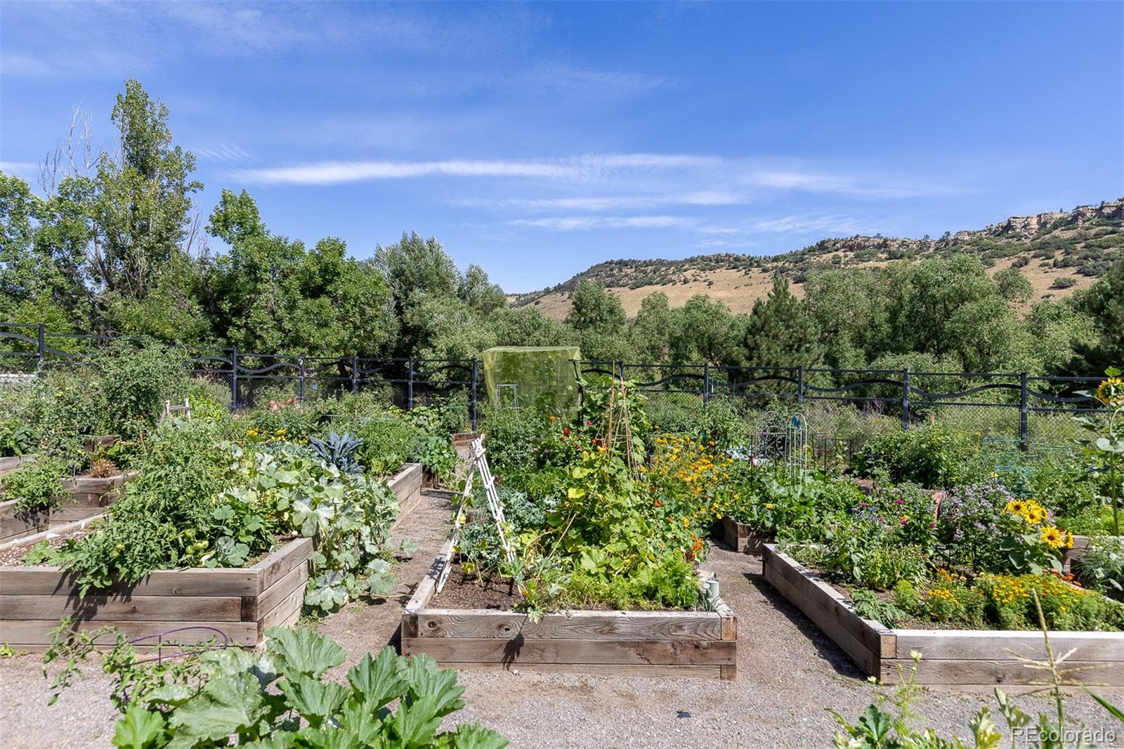 7723 S Cottonwood Mountain