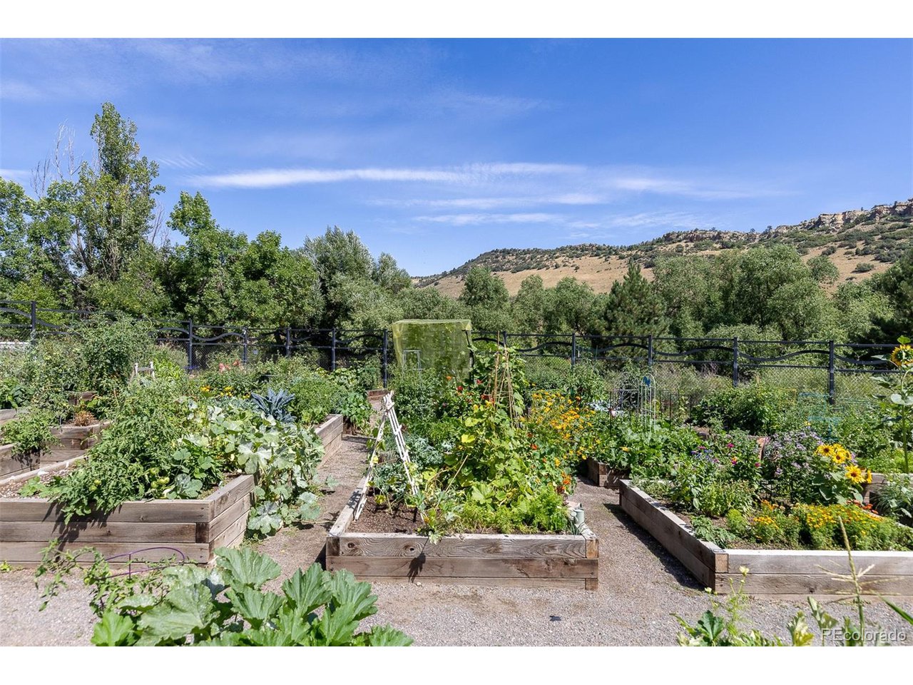 7723 S Cottonwood Mtn