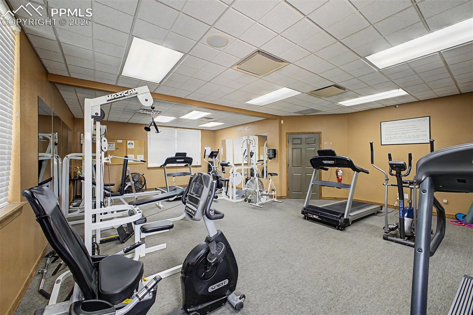 4687 Pine Marten Point