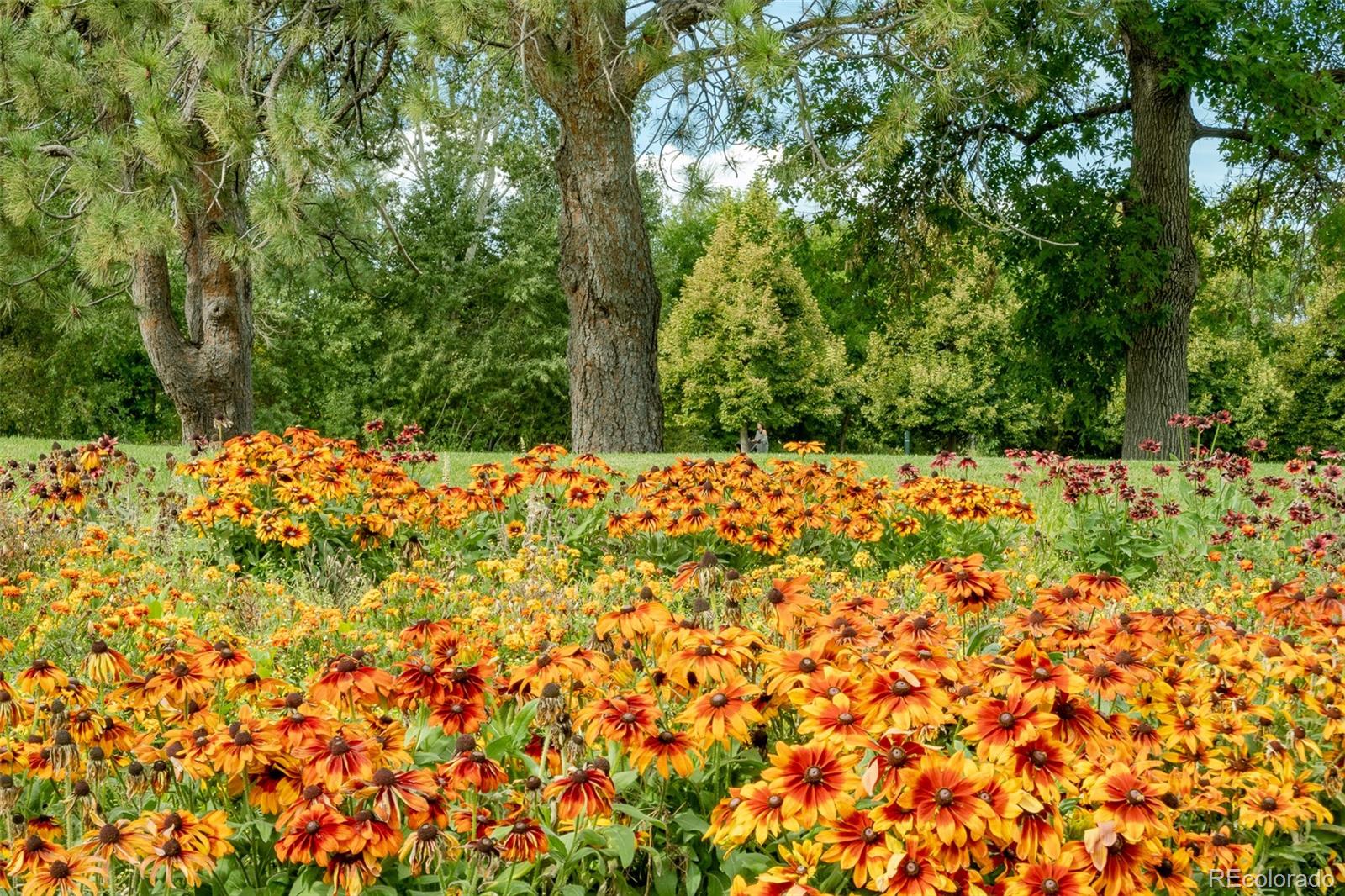 2240 S Irving Street