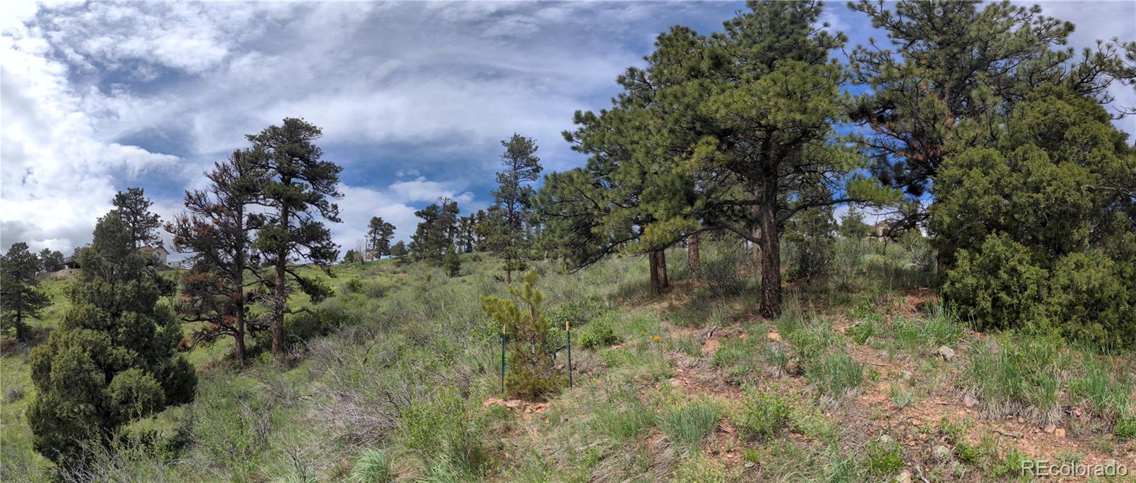 25421 Westridge Road