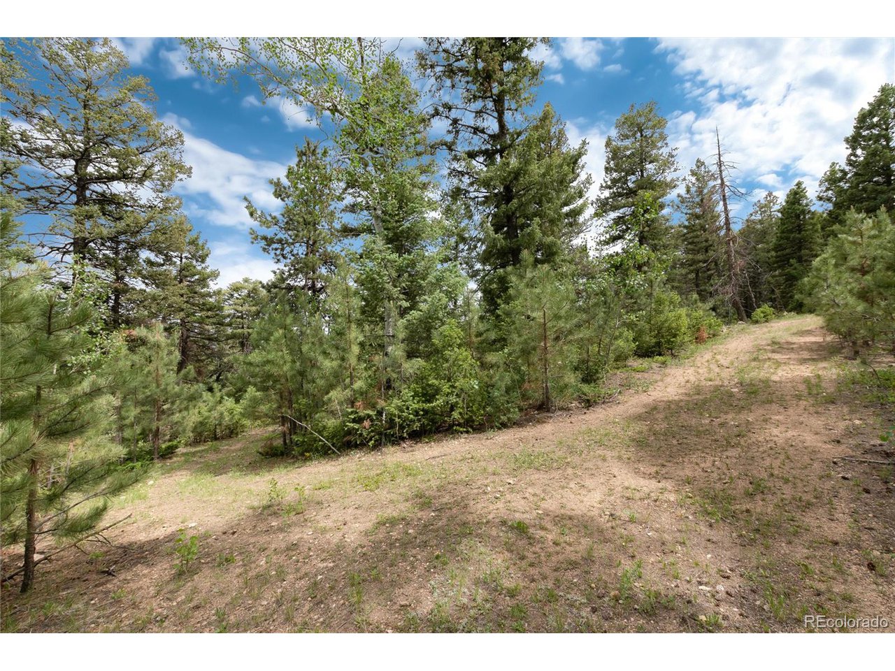 12888 Piano Meadows Dr