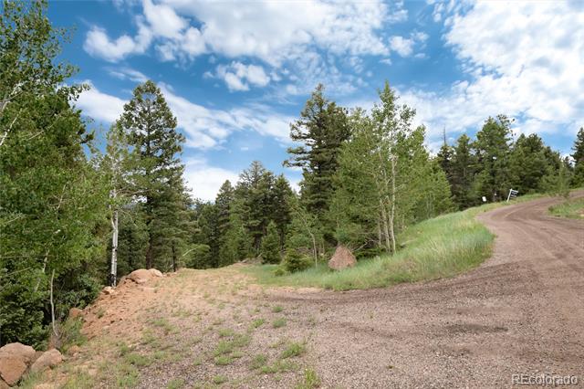 12888 Piano Meadows Drive