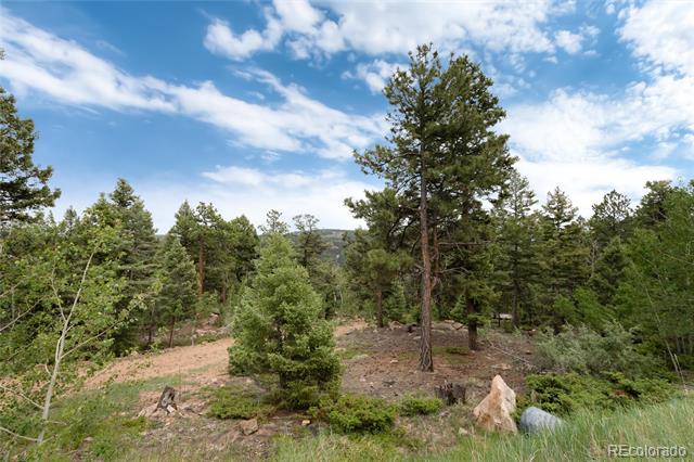 12888 Piano Meadows Drive