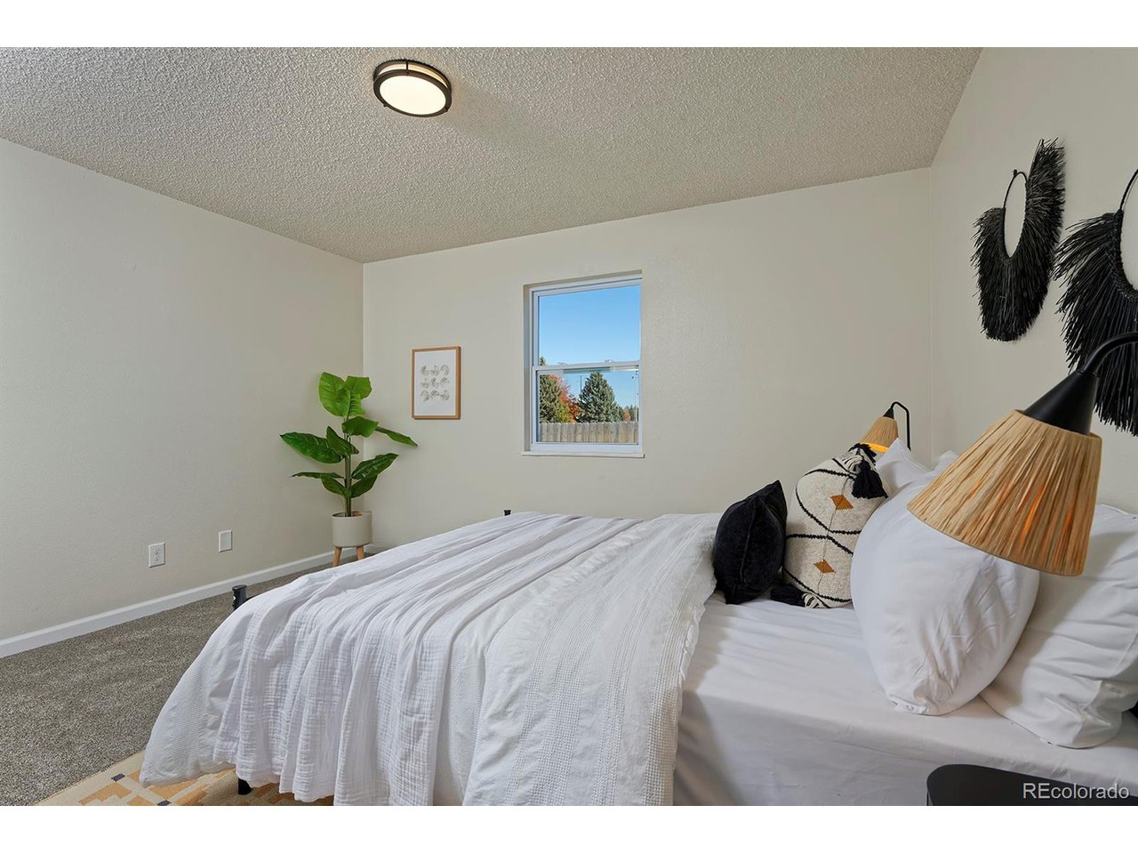 2018 Lincoln St Longmont