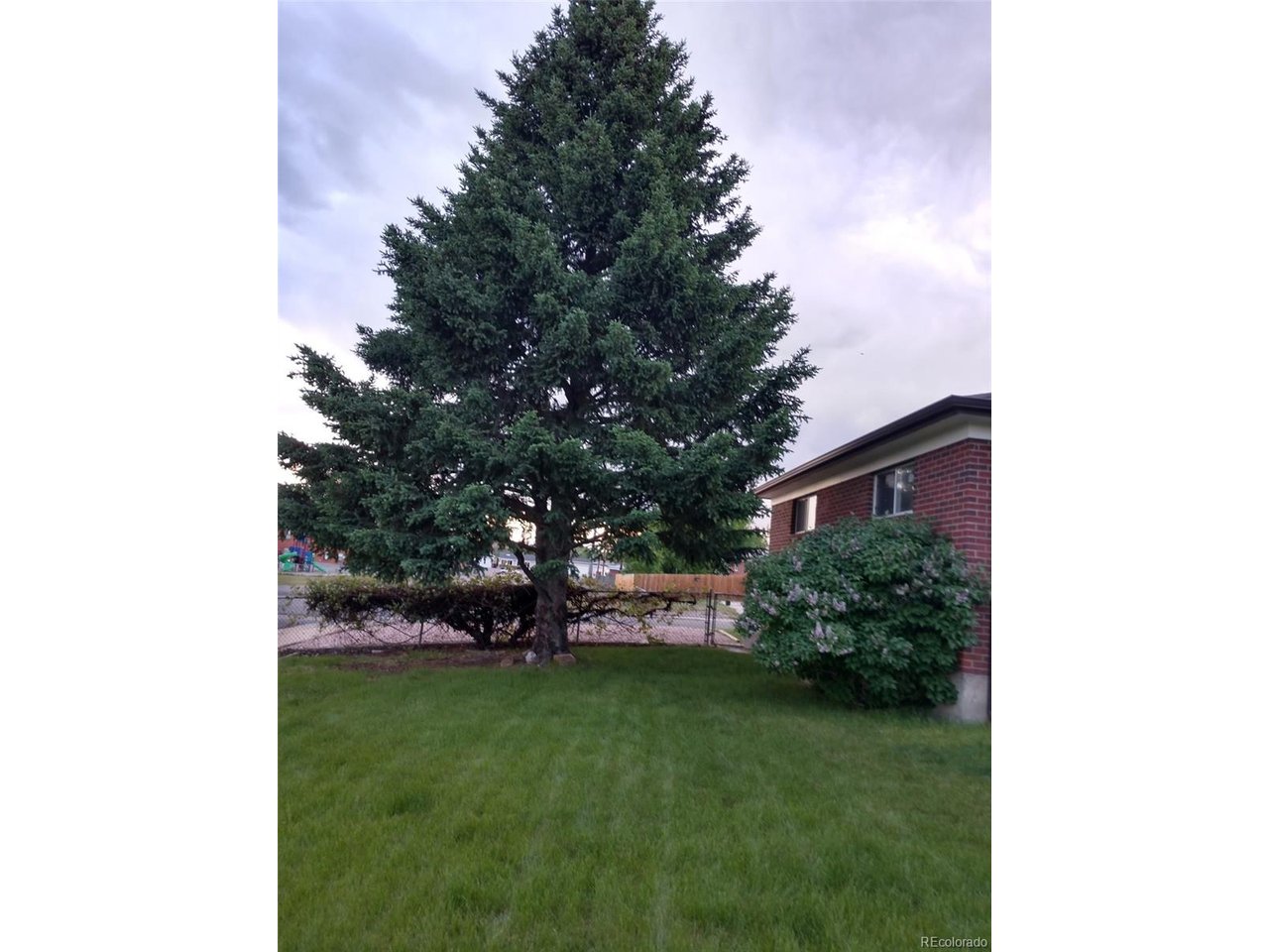 10642 Larson Dr