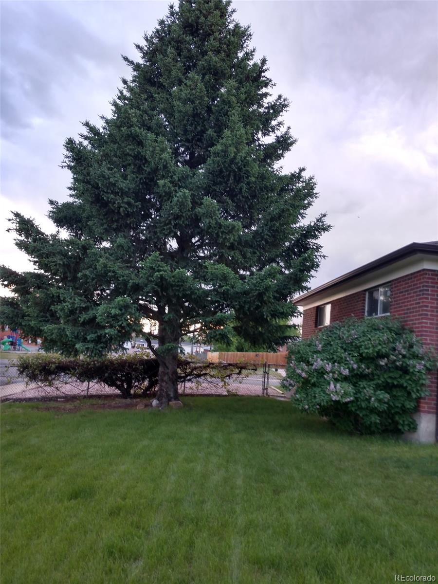 10642 Larson Drive