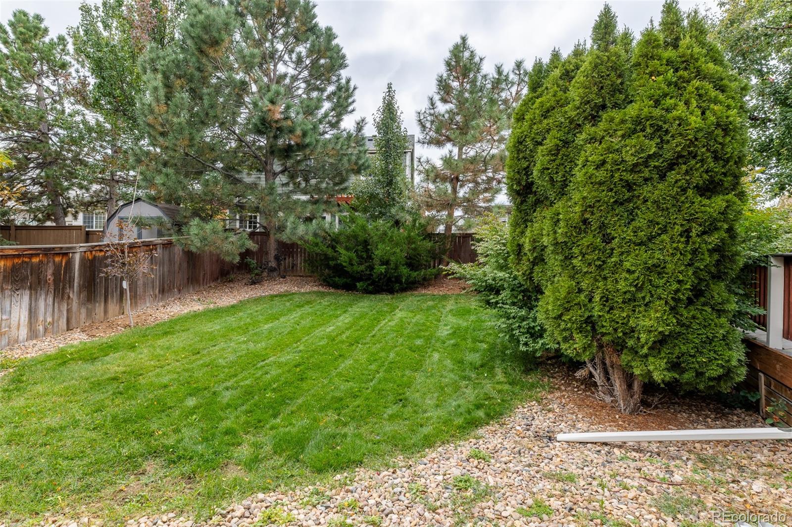 9773 Mulberry Street