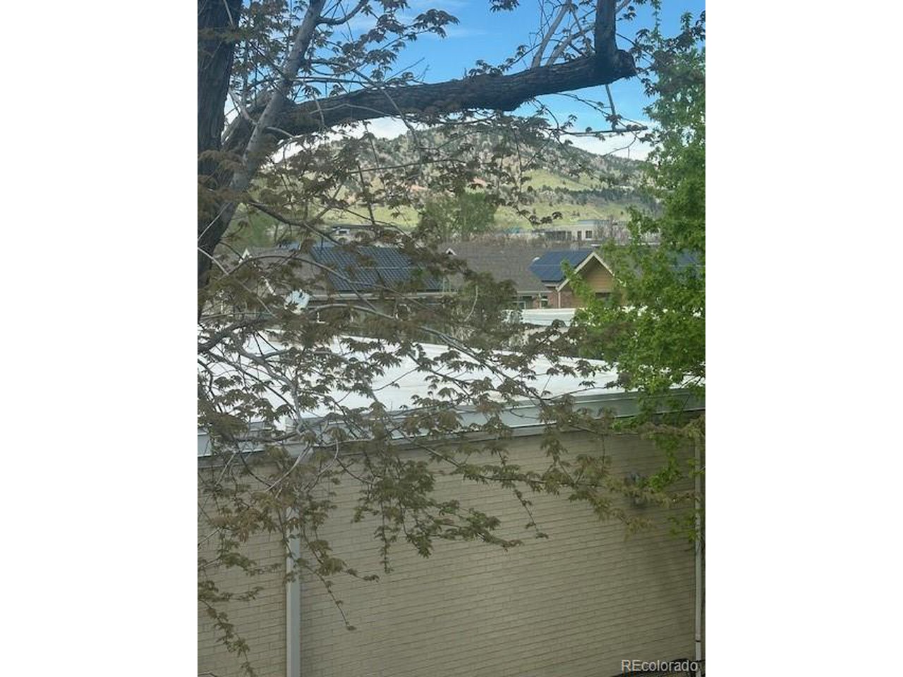 1842 Canyon Blvd 209