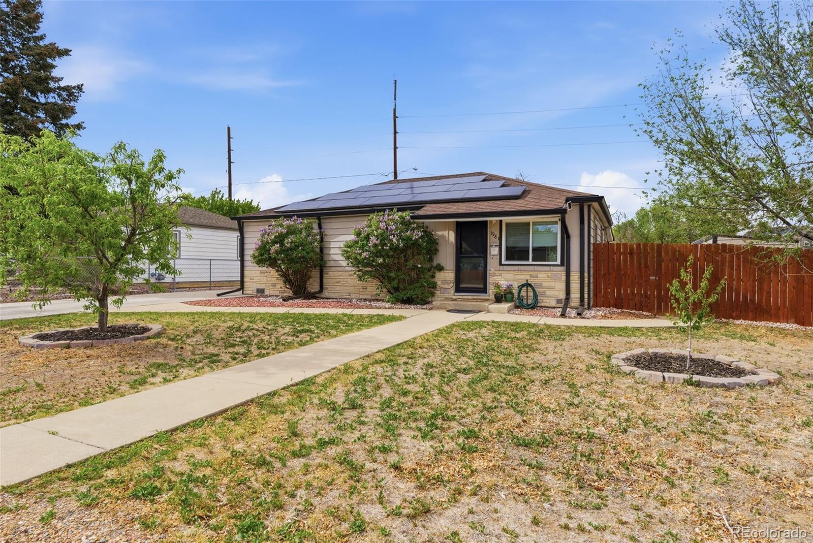 1981 Ruth Drive