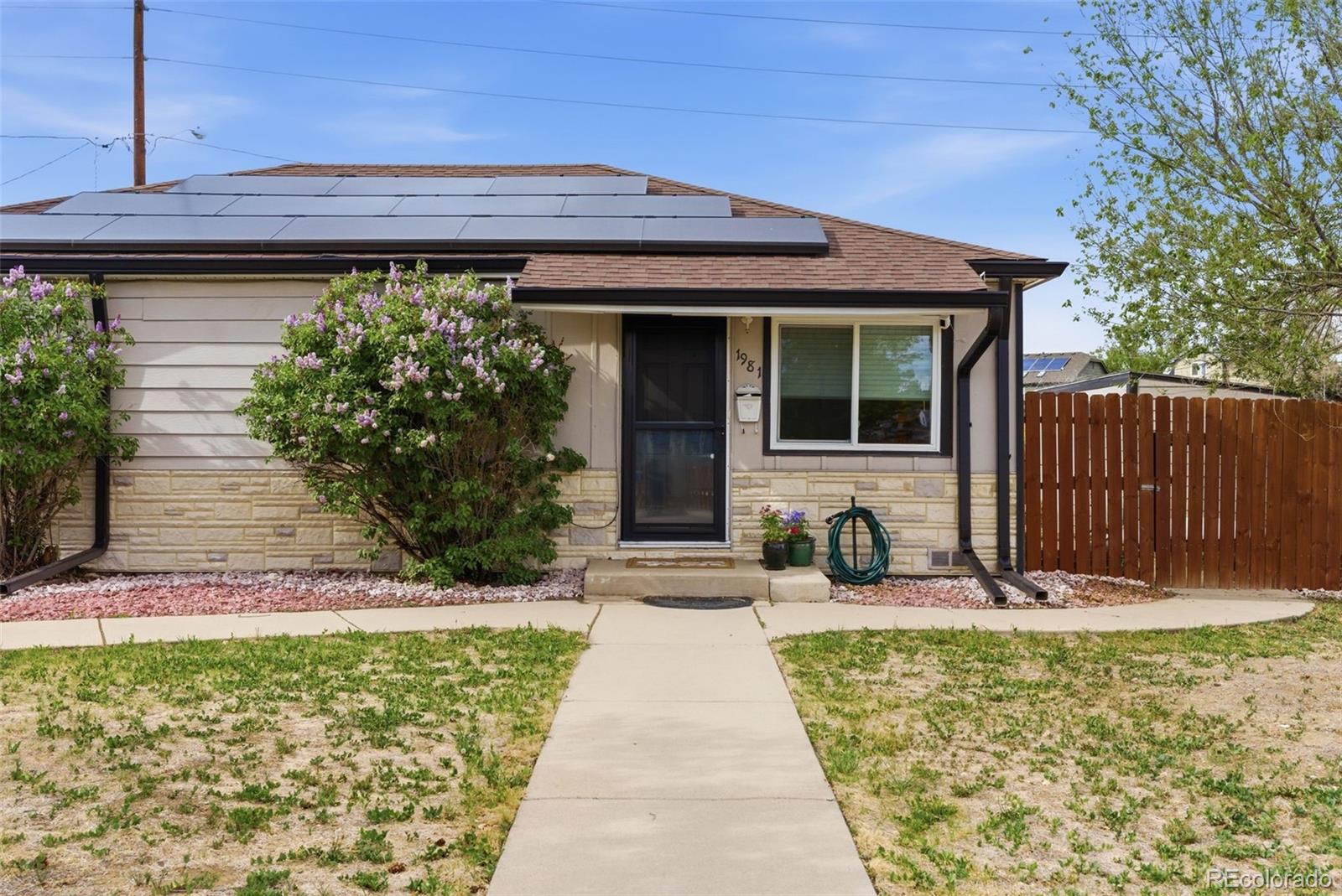 1981 Ruth Drive