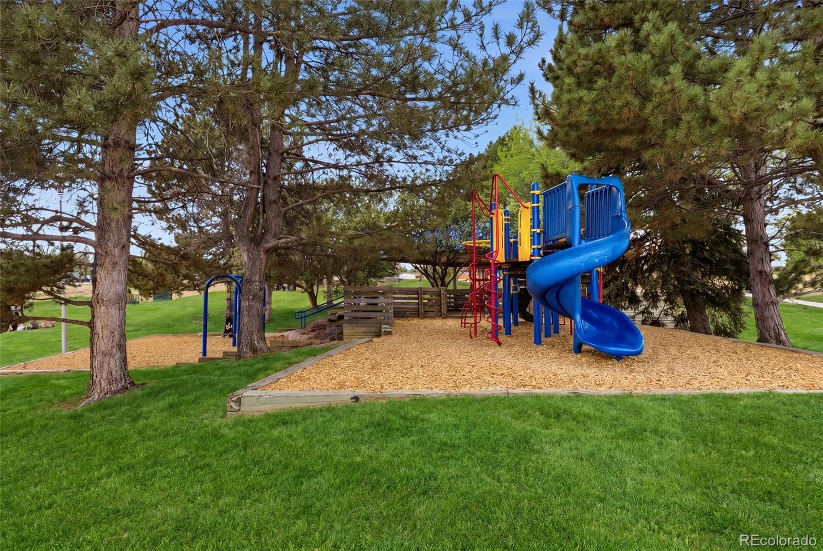 1981 Ruth Drive