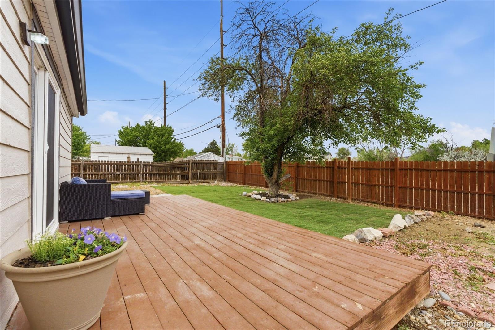 1981 Ruth Drive