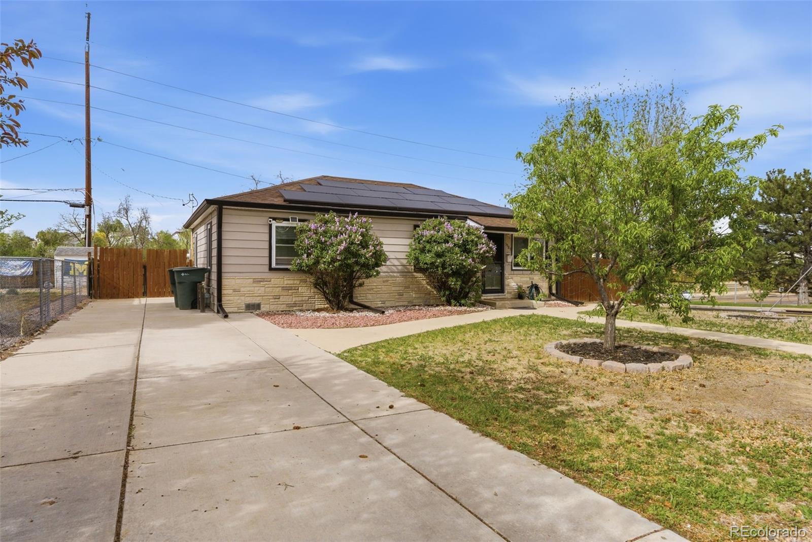 1981 Ruth Drive
